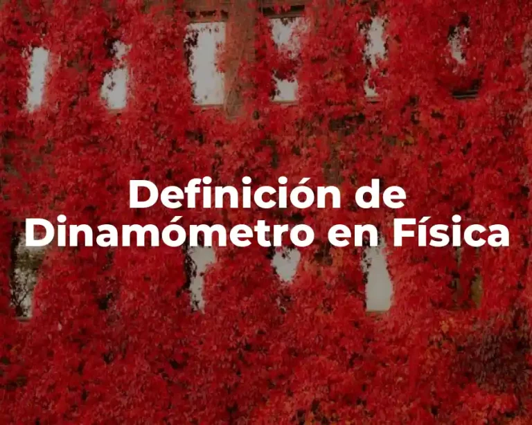 Definición de Dinamómetro en Física