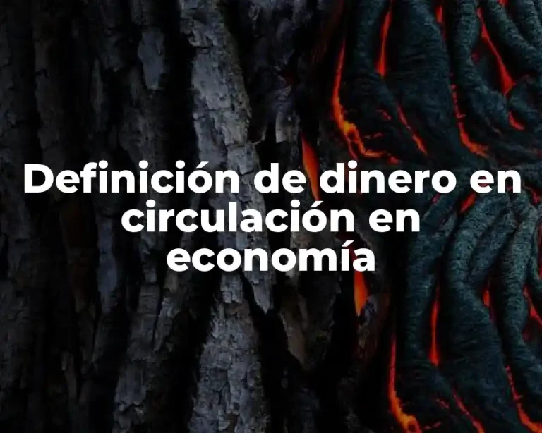 Definición de dinero en circulación en economía