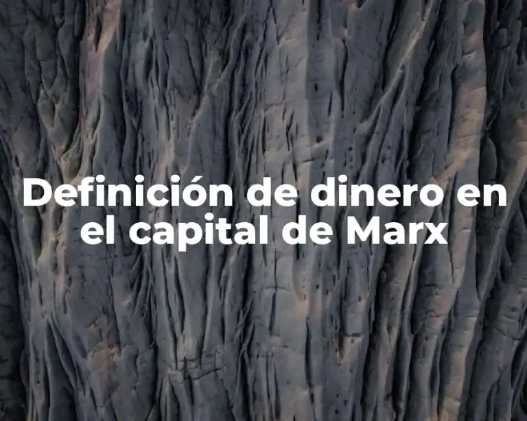 Definición de dinero en el capital de Marx