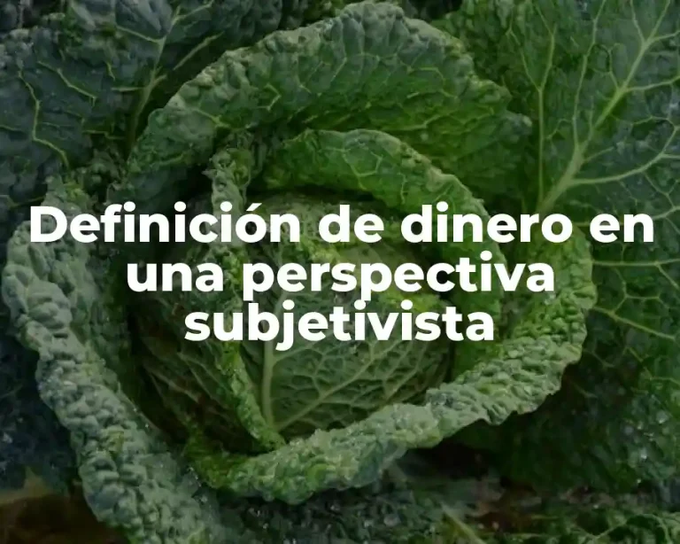 Definición de dinero en una perspectiva subjetivista