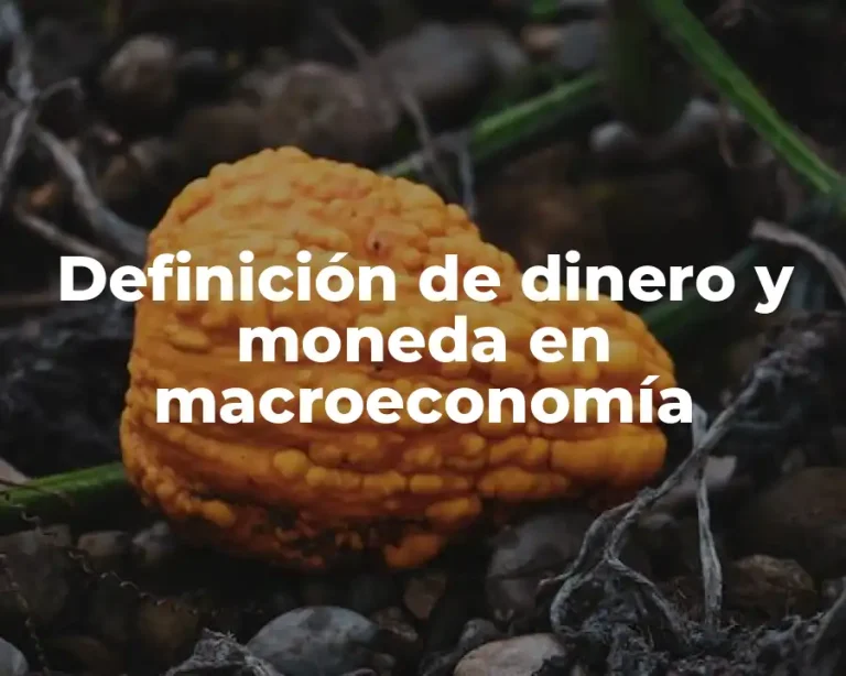 Definición de dinero y moneda en macroeconomía