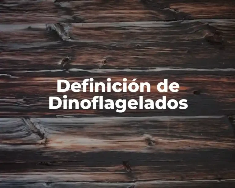 Definición de Dinoflagelados