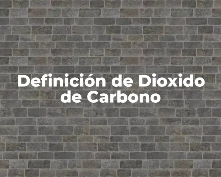 Definición de Dioxido de Carbono