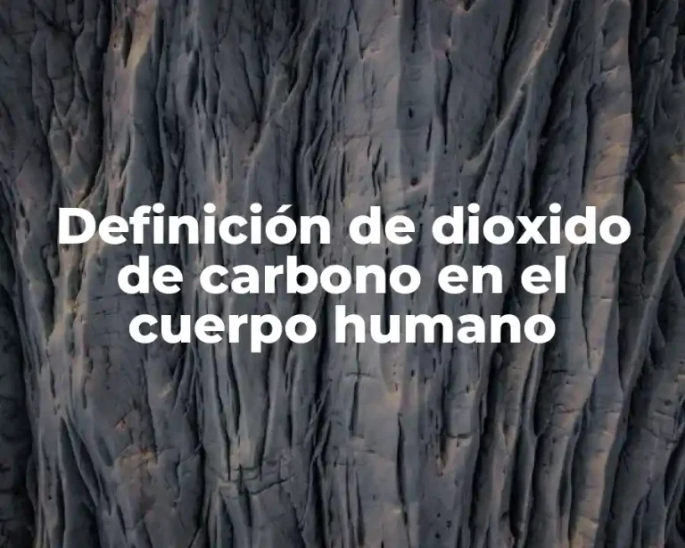 Definición de dioxido de carbono en el cuerpo humano