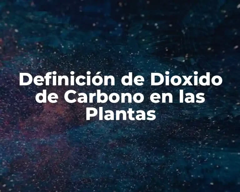 Definición de Dioxido de Carbono en las Plantas