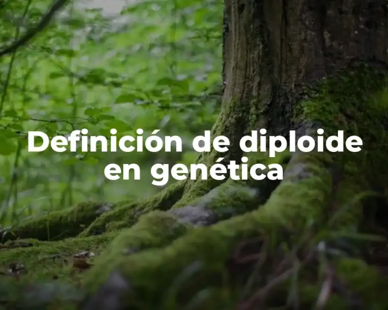 Definición de diploide en genética