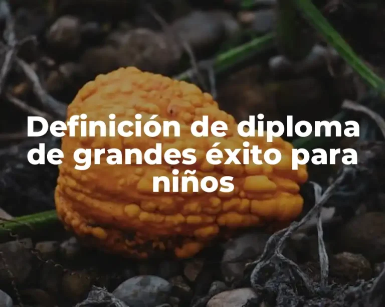Definición de diploma de grandes éxito para niños