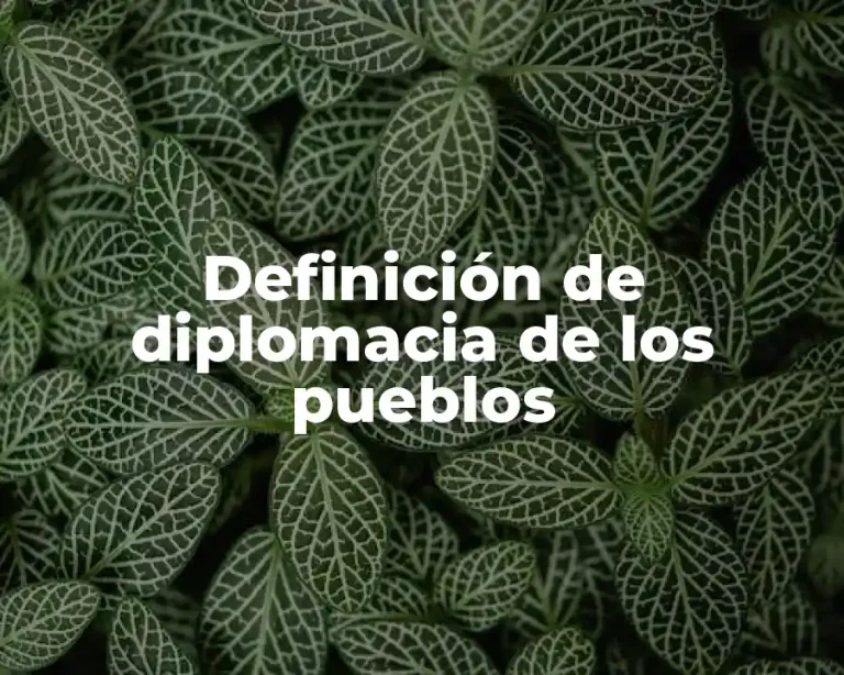 Definición de diplomacia de los pueblos