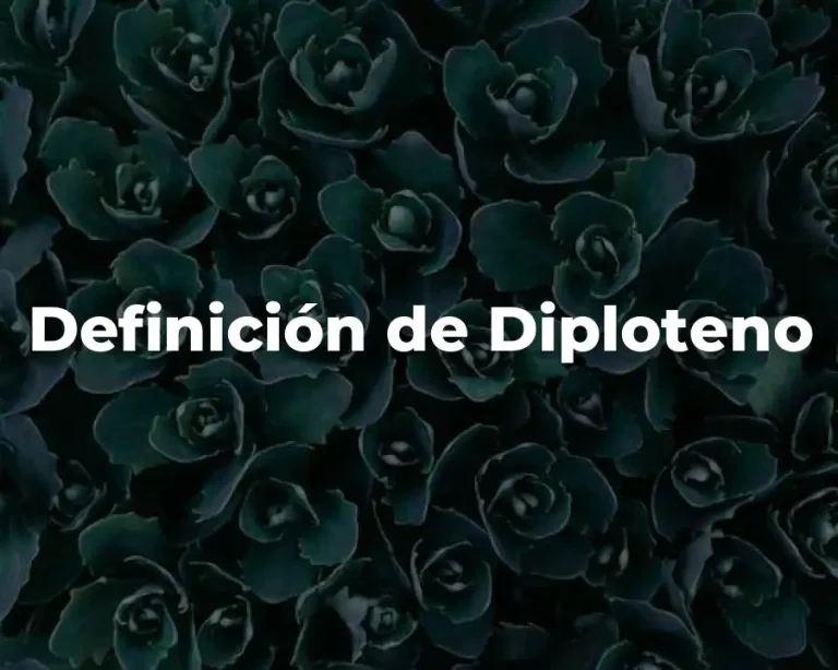 Definición de Diploteno