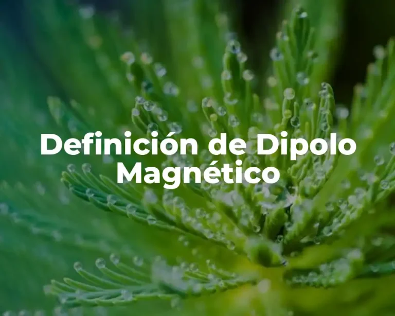 Definición de Dipolo Magnético
