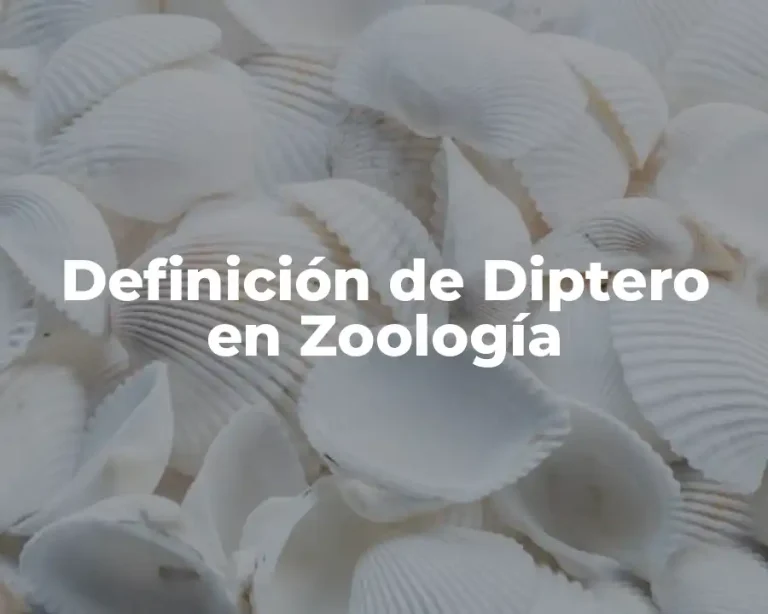 Definición de Diptero en Zoología