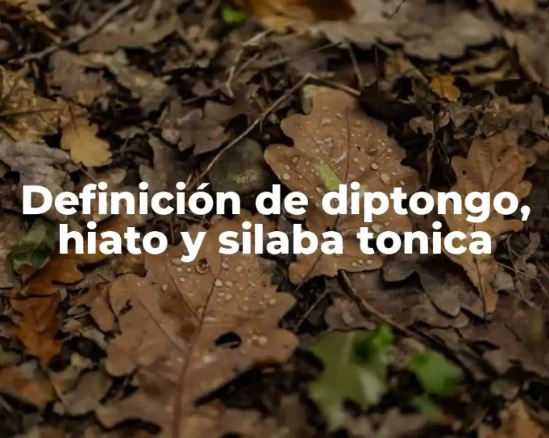 Definición de diptongo, hiato y silaba tonica