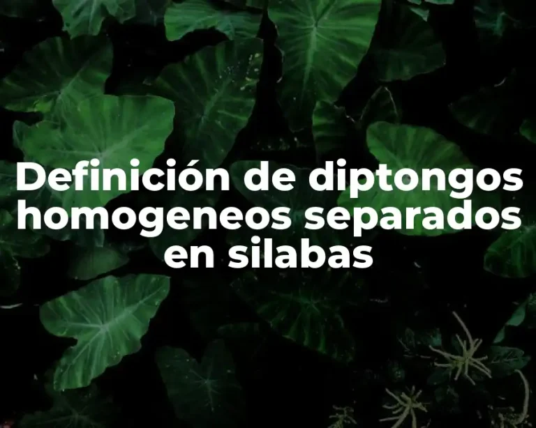 Definición de diptongos homogeneos separados en silabas