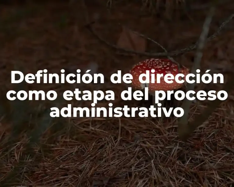 Definición de dirección como etapa del proceso administrativo