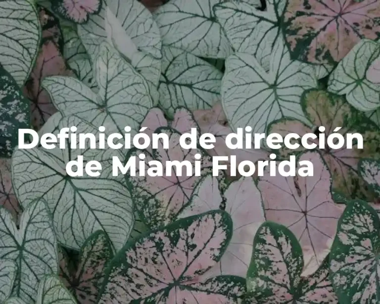Definición de dirección de Miami Florida