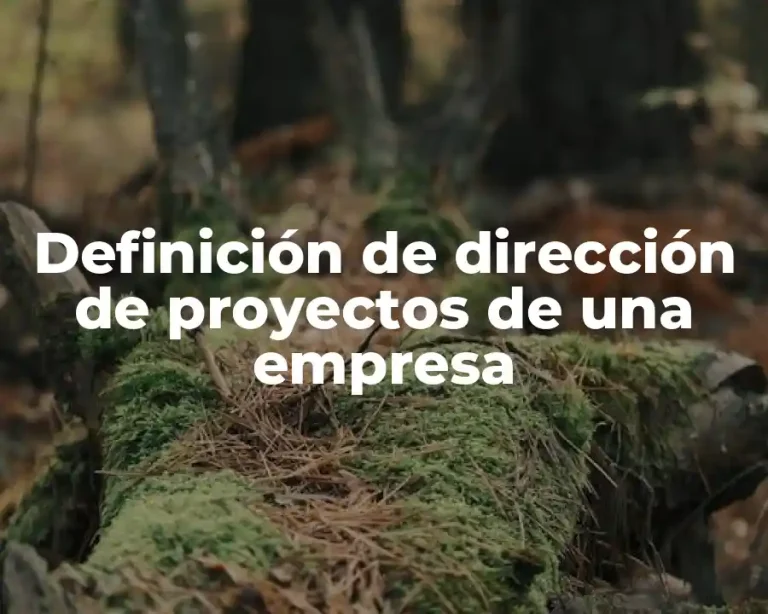 Definición de dirección de proyectos de una empresa