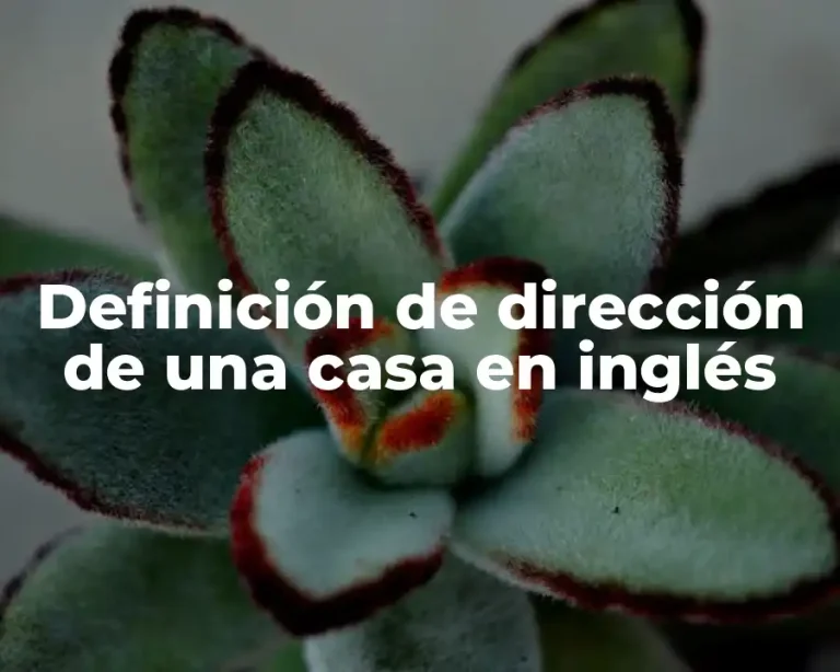 Definición de dirección de una casa en inglés