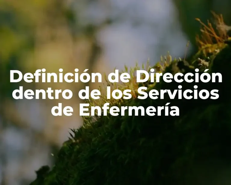 Definición de Dirección dentro de los Servicios de Enfermería