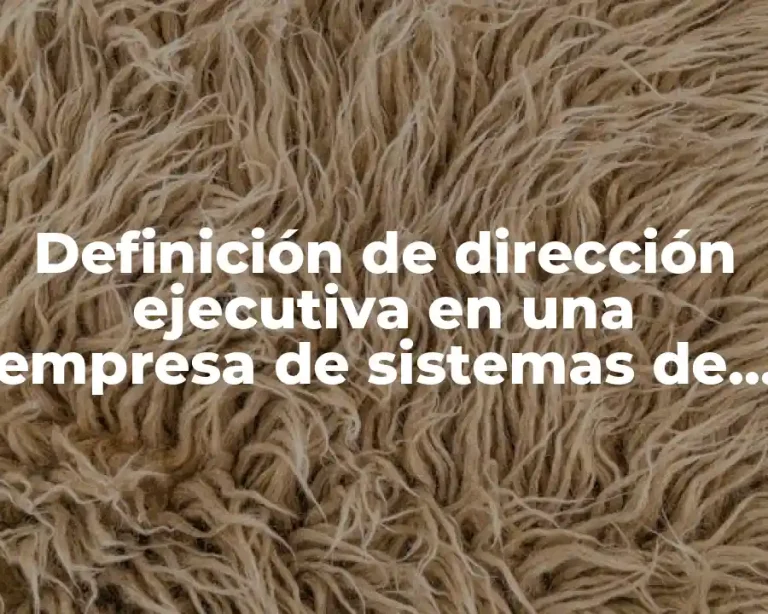 Definición de dirección ejecutiva en una empresa de sistemas de información