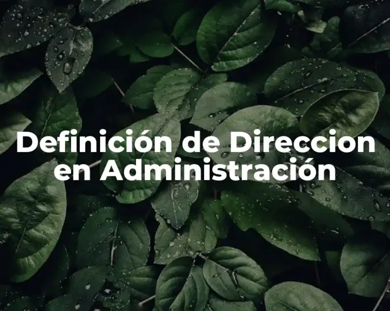 Definición de Direccion en Administración