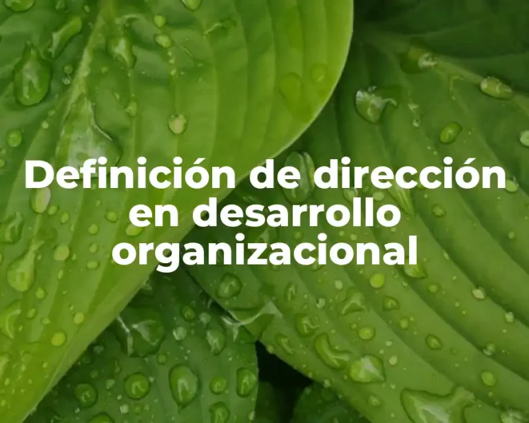 Definición de dirección en desarrollo organizacional