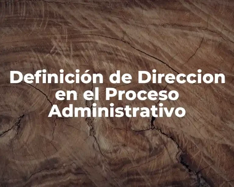 Definición de Direccion en el Proceso Administrativo