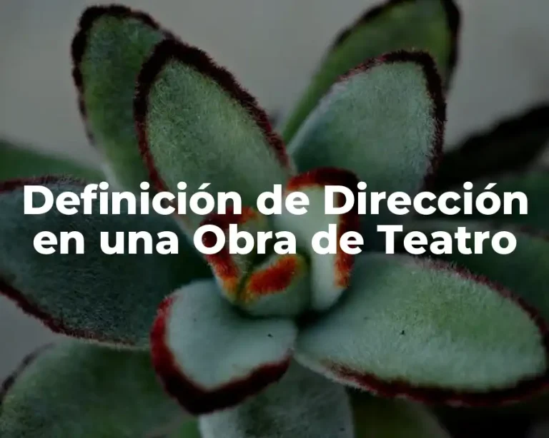 Definición de Dirección en una Obra de Teatro