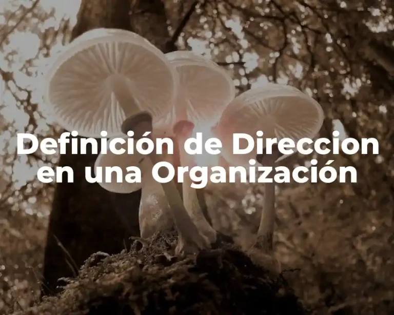 Definición de Direccion en una Organización