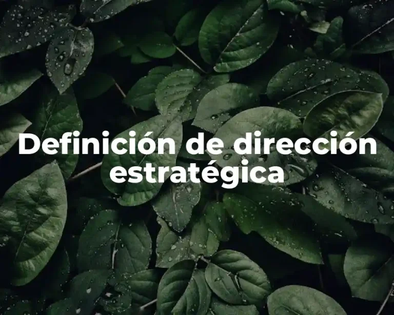 Definición de dirección estratégica