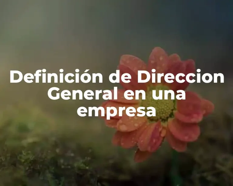 Definición de Direccion General en una empresa