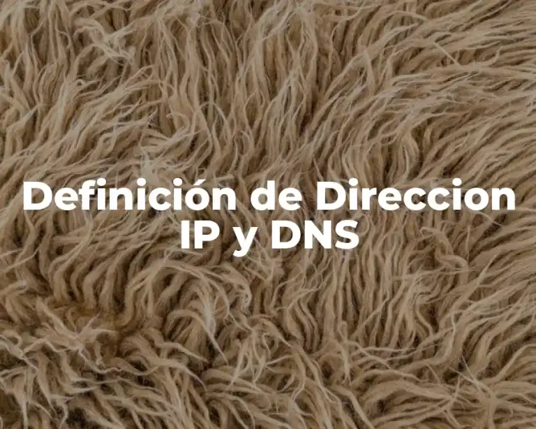 Definición de Direccion IP y DNS
