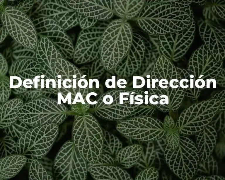 Definición de Dirección MAC o Física