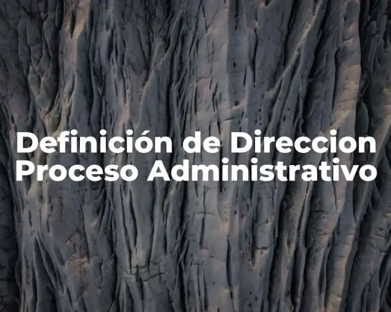 Definición de Direccion Proceso Administrativo