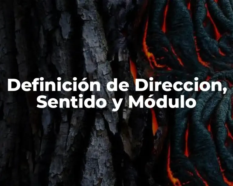 Definición de Direccion, Sentido y Módulo