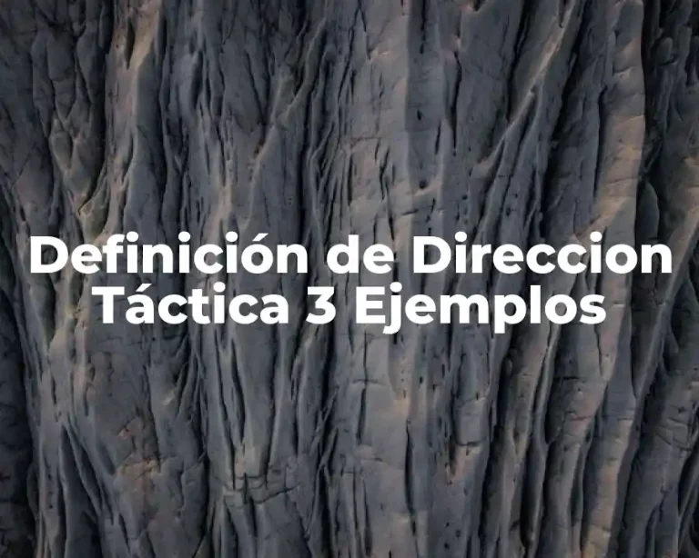 Definición de Direccion Táctica 3 Ejemplos
