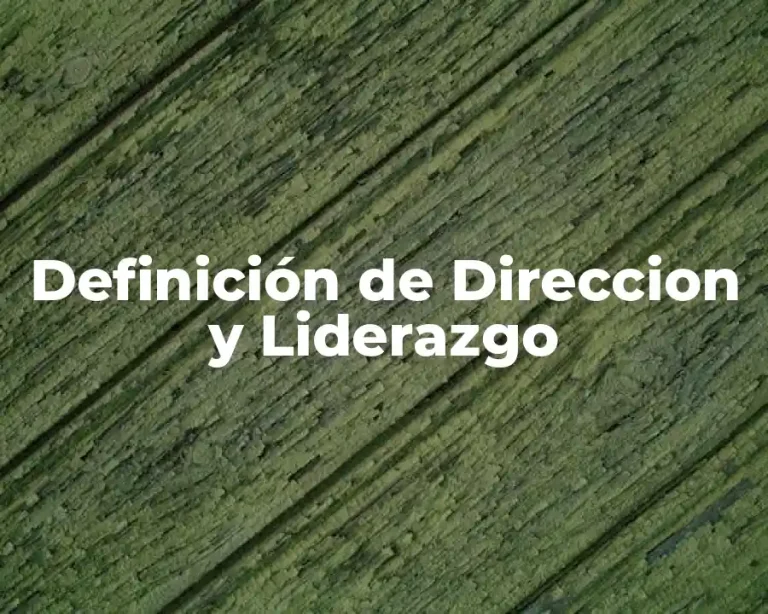 Definición de Direccion y Liderazgo