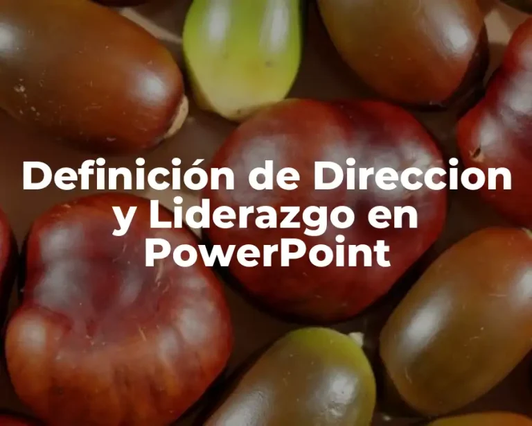 Definición de Direccion y Liderazgo en PowerPoint