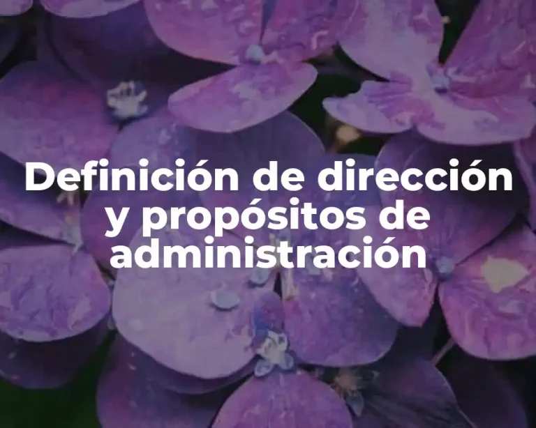 Definición de dirección y propósitos de administración