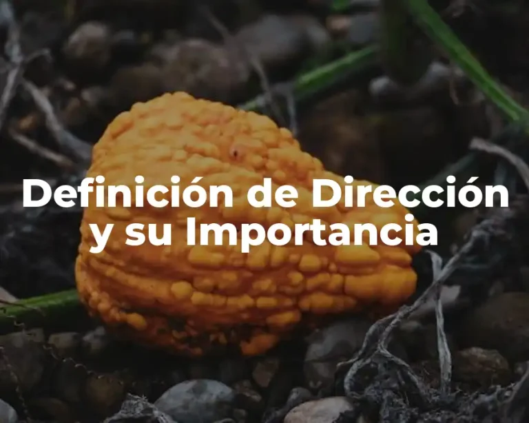 Definición de Dirección y su Importancia