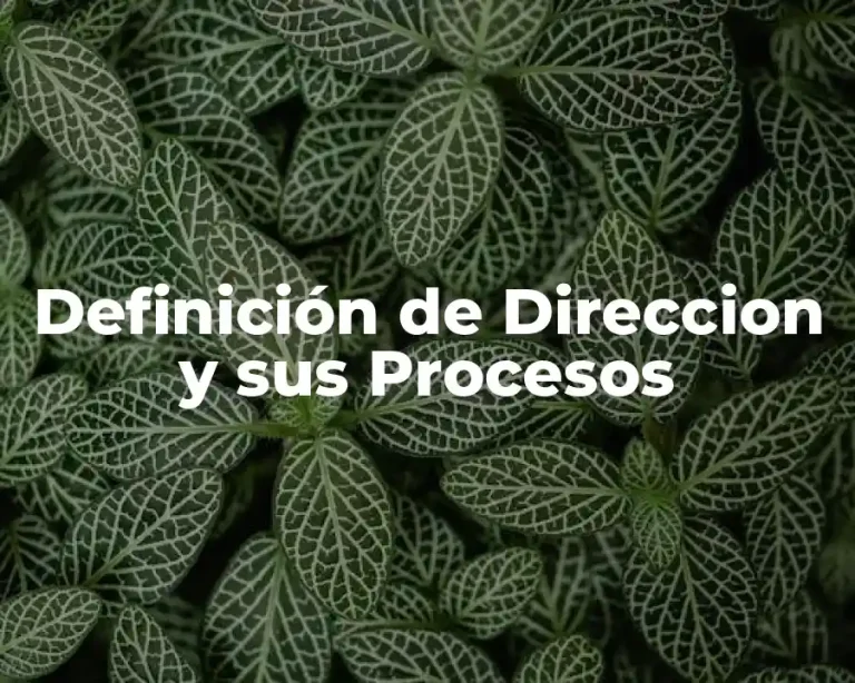 Definición de Direccion y sus Procesos