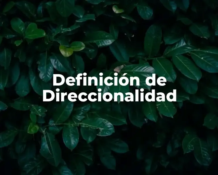 Definición de Direccionalidad