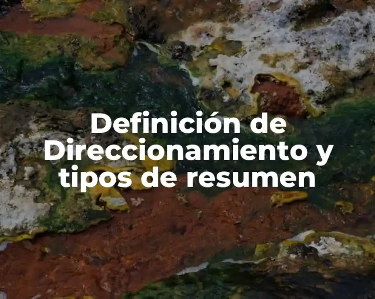 Definición de Direccionamiento y tipos de resumen