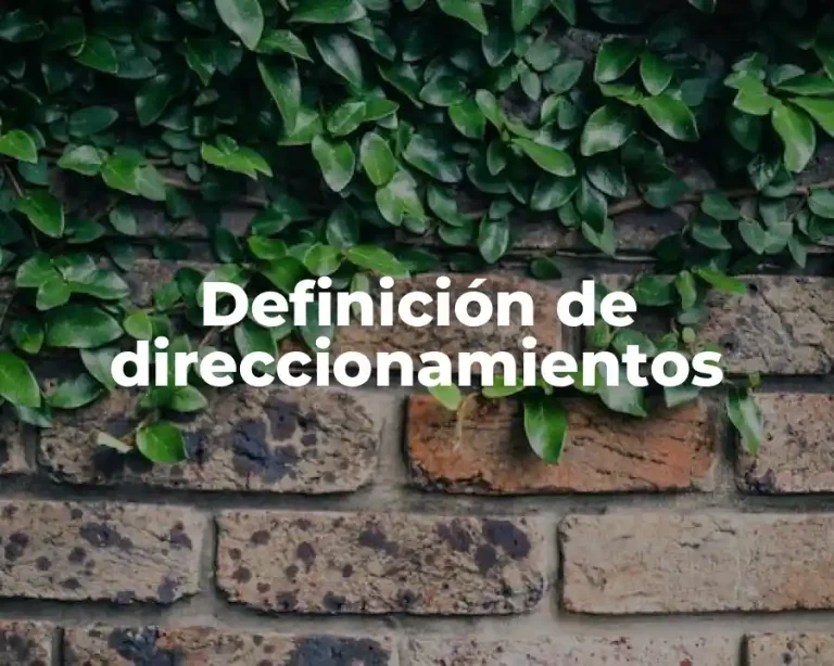 Definición de direccionamientos