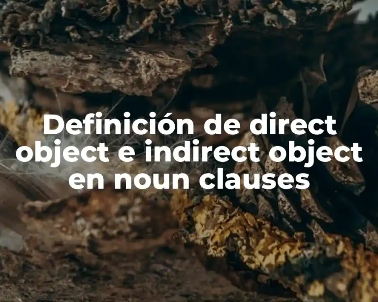 Definición de direct object e indirect object en noun clauses