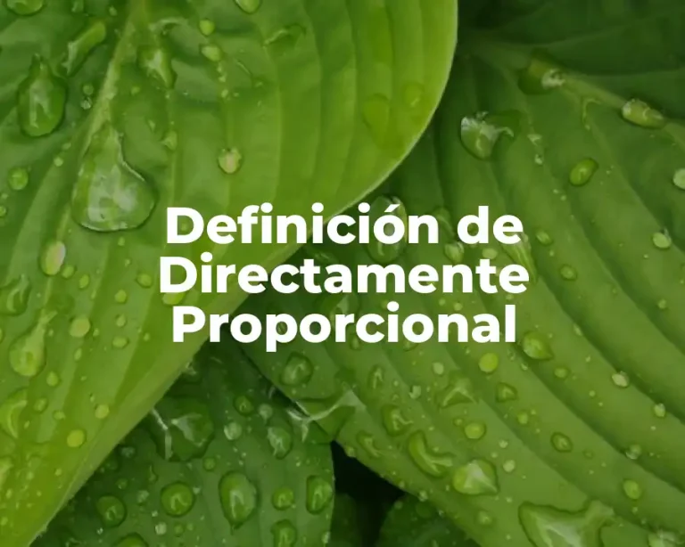 Definición de Directamente Proporcional