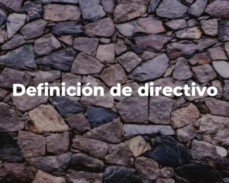 Definición de directivo