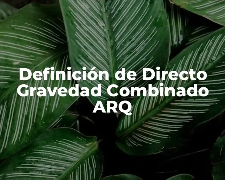 Definición de Directo Gravedad Combinado ARQ