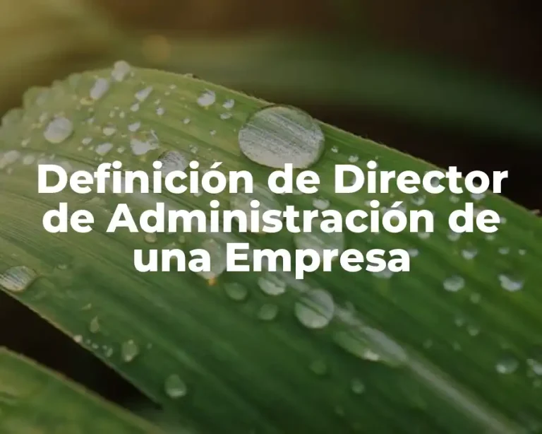 Definición de Director de Administración de una Empresa
