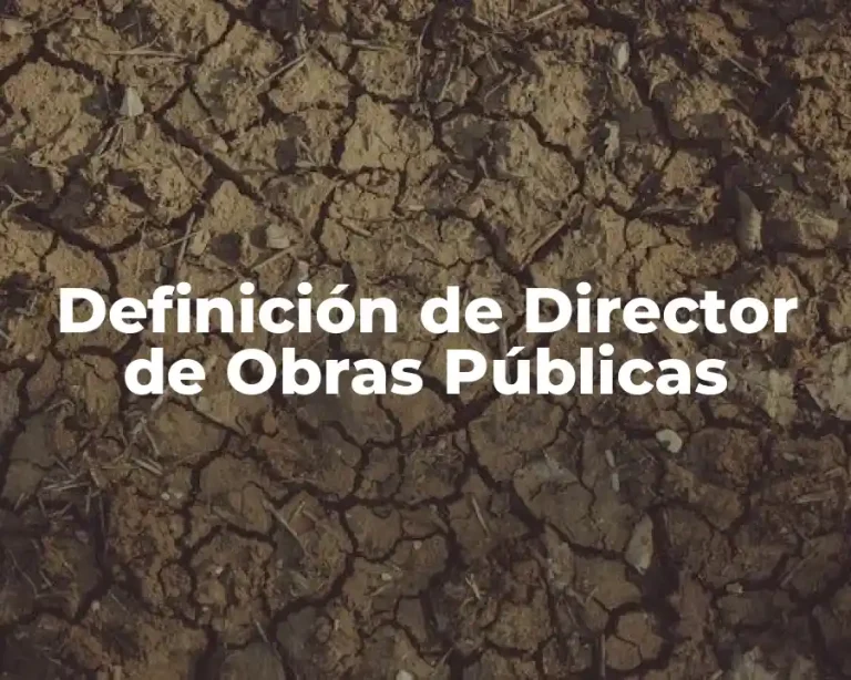 Definición de Director de Obras Públicas