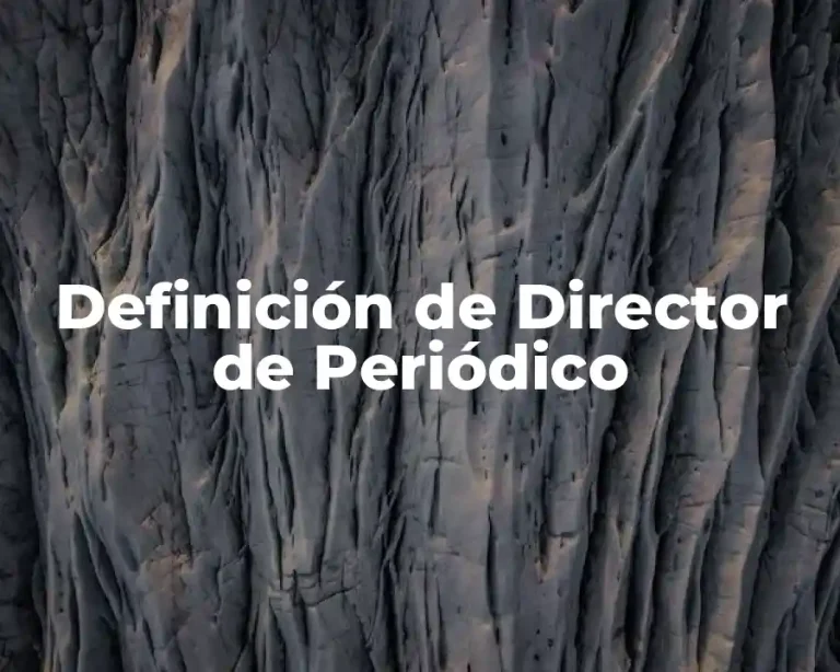 Definición de Director de Periódico